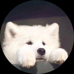 Meet your Posher, Jeffrey